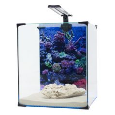 Diversa NEO Light 30L akvárium szett (tengeri)