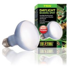 Exo-Terra 2132 Daylight Basking Spot izzó 75W