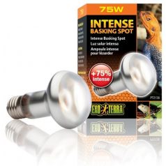 Exo-Terra 2136 Intense Basking Spot izzó 75W