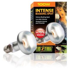 Exo-Terra 2138 Intense Basking Spot izzó 100W