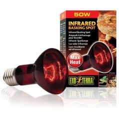 Exo-Terra 2141 Infrared Basking Spot izzó 50W