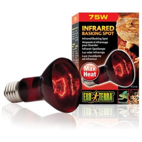 Exo-Terra 2142 Infrared Basking Spot izzó 75W