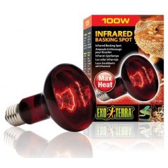 Exo-Terra 2144 Infrared Basking Spot izzó 100W