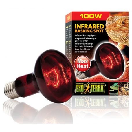 Exo-Terra 2144 Infrared Basking Spot izzó 100W