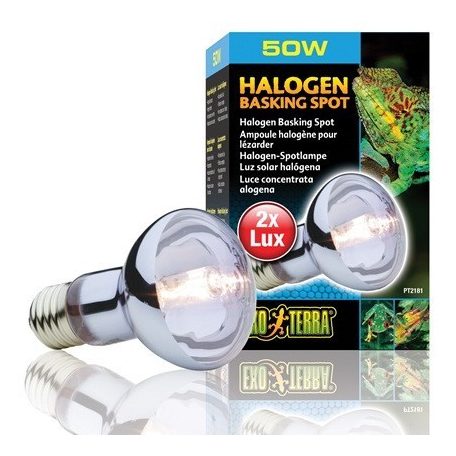 Exo-Terra 2181 Halogen Basking Spot izzó 50W