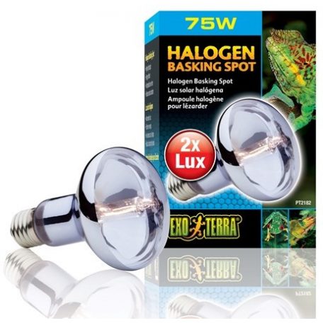 Exo-Terra 2182 Halogen Basking Spot izzó 75W