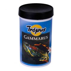 Trópus gammarus 180m/20g